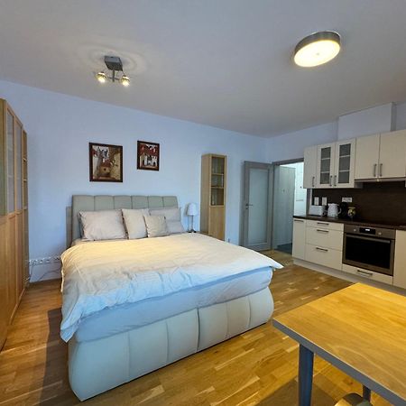 Apartman Rotterovka -Ski Resort Herlikovice & Bubakov Vrchlabi Exterior photo